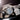 DS Automatic Ur - Sort/Hvid fra Certina