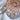 Creoler 1,5/20 mm - 14 kt. Guld fra Fine Essentials by Plaza