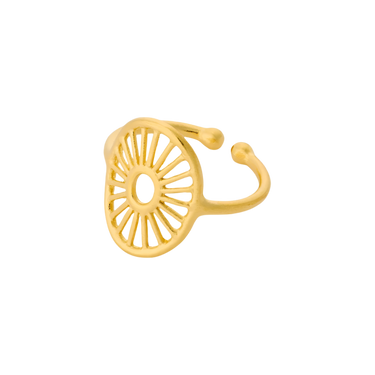 Small Daylight ring - Forgyldt