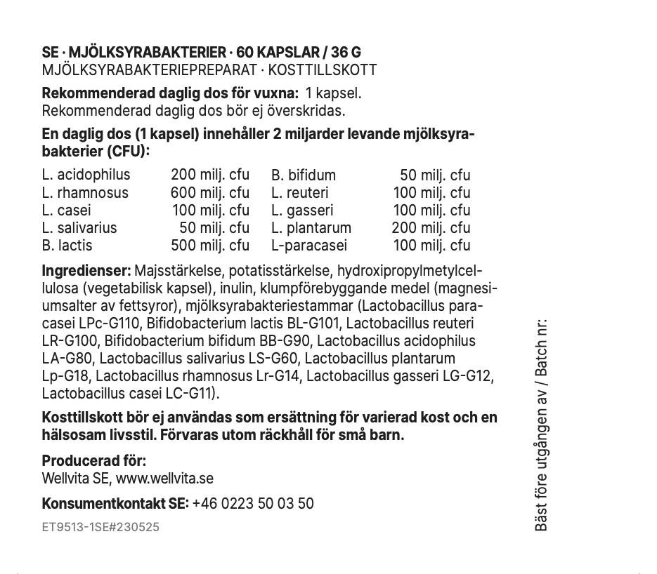 Mjölksyrabakterier