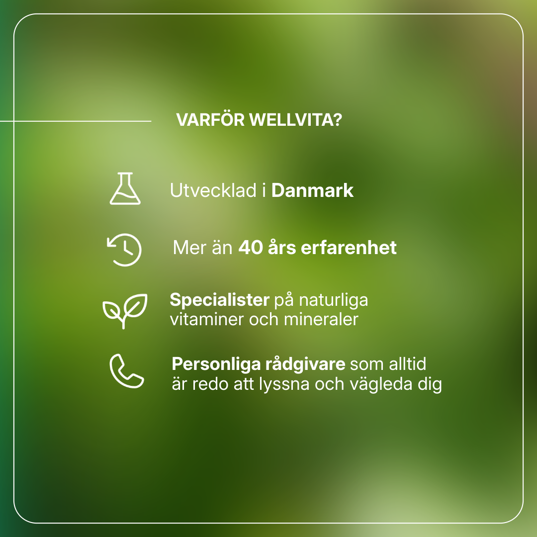 Kosttillskott Energo Plus med schisandra, maté, rysk rot och vitamin B12 för ökat välbefinnande och minskad trötthet.