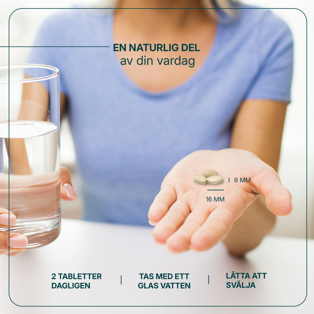 Kosttillskott Energo Plus med schisandra, maté, rysk rot och vitamin B12 för ökat välbefinnande och minskad trötthet.