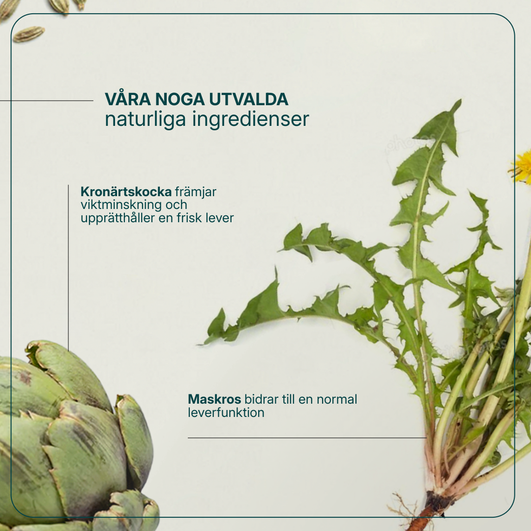 Macoform kosttillskott, 60 tabletter med maskros och kronärtskocka.