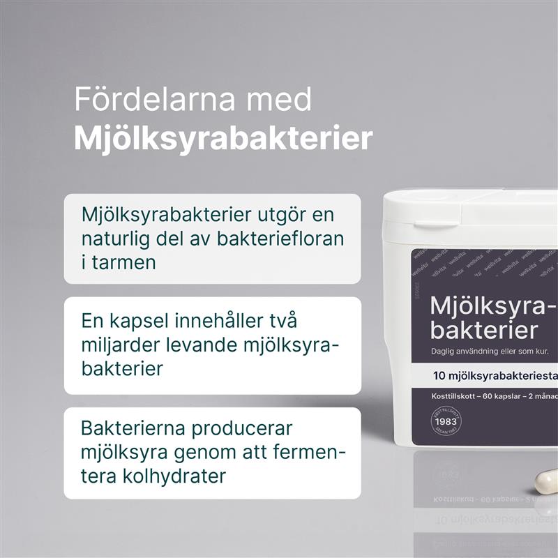 Wellvita mjölksyrabakterier kosttillskott med 10 bakteriestammar i kapslar för tarmhälsa