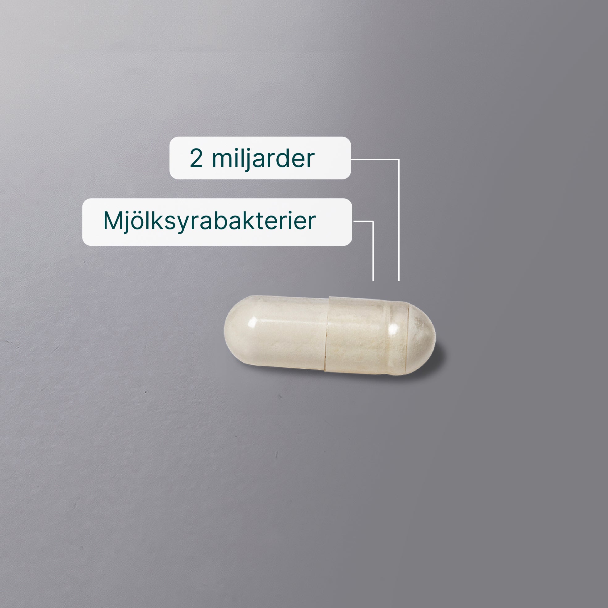 Wellvita mjölksyrabakterier kosttillskott med 10 bakteriestammar i kapslar för tarmhälsa