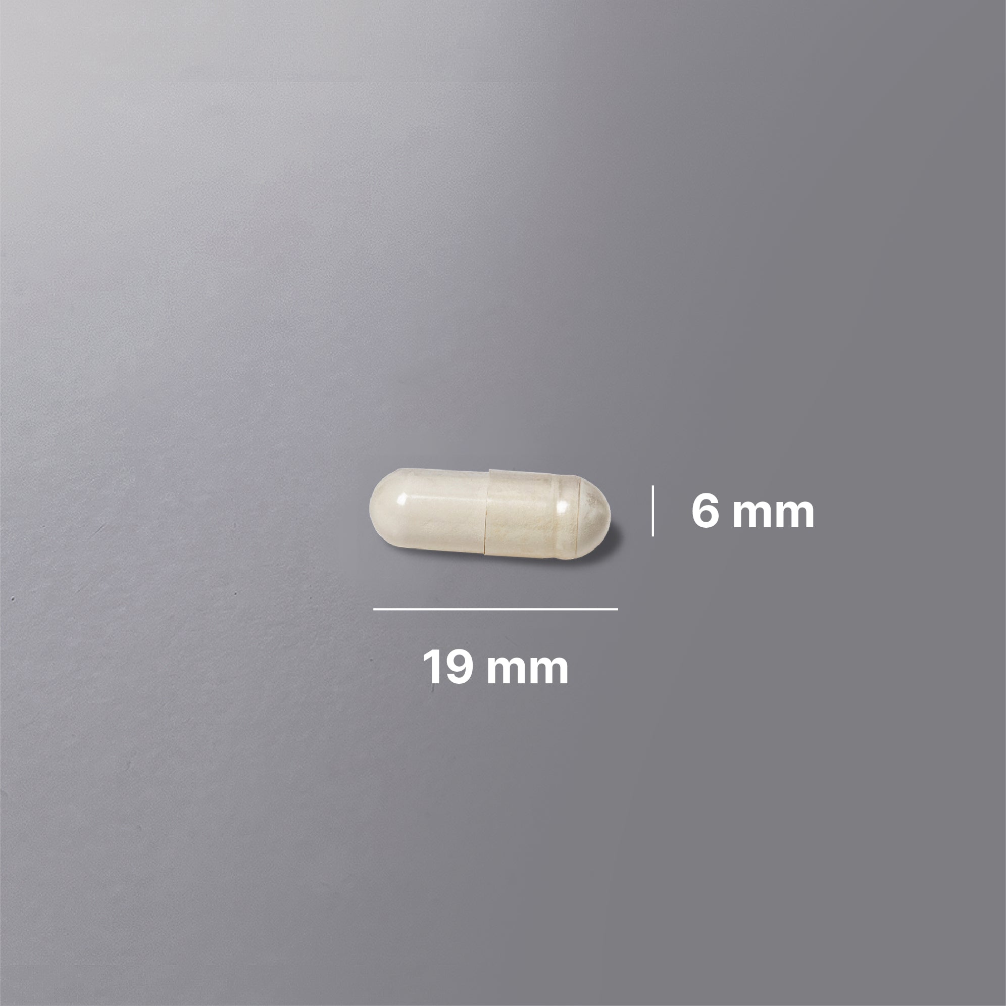 Wellvita mjölksyrabakterier kosttillskott med 10 bakteriestammar i kapslar för tarmhälsa