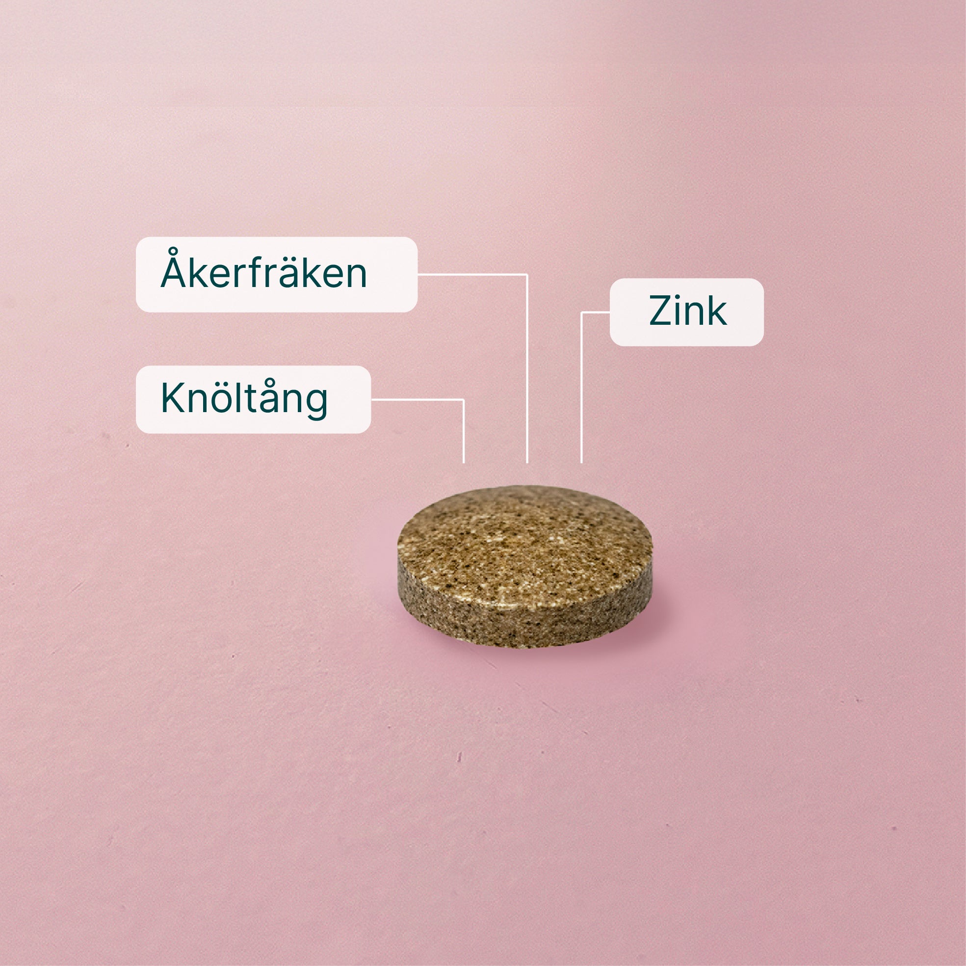 Wellvita Silica + zink kosttillskott för hud, hår och naglar med åkerfräken och zink.