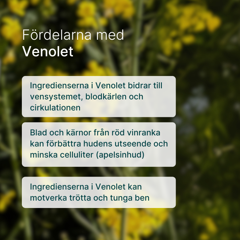 Venolet kosttillskott med rödvinsblad, druvkärnor, tallbark och vitamin C, 60 tabletter för blodcirkulation och hudförbättring.