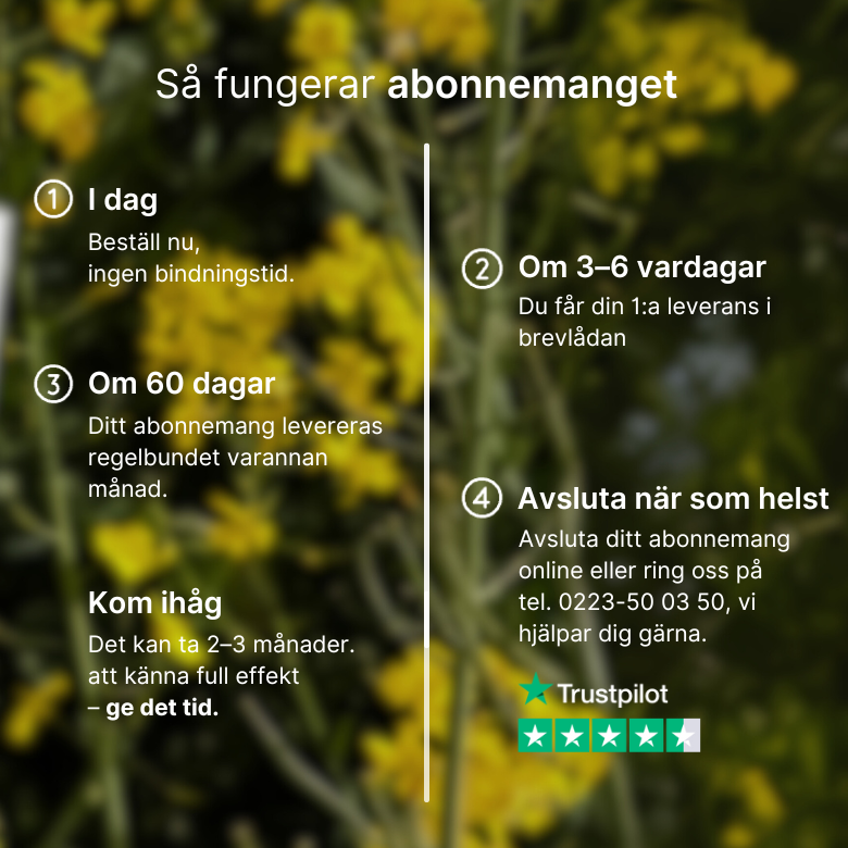 Venolet kosttillskott med rödvinsblad, druvkärnor, tallbark och vitamin C, 60 tabletter för blodcirkulation och hudförbättring.
