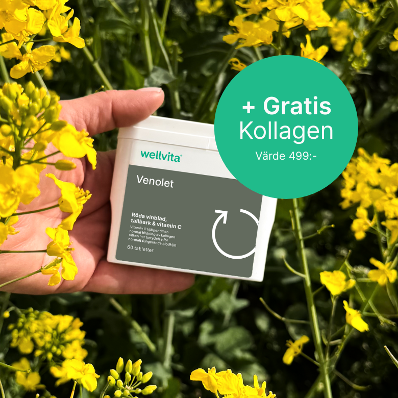 Venolet kosttillskott med rödvinsblad, druvkärnor, tallbark och vitamin C, 60 tabletter för blodcirkulation och hudförbättring.