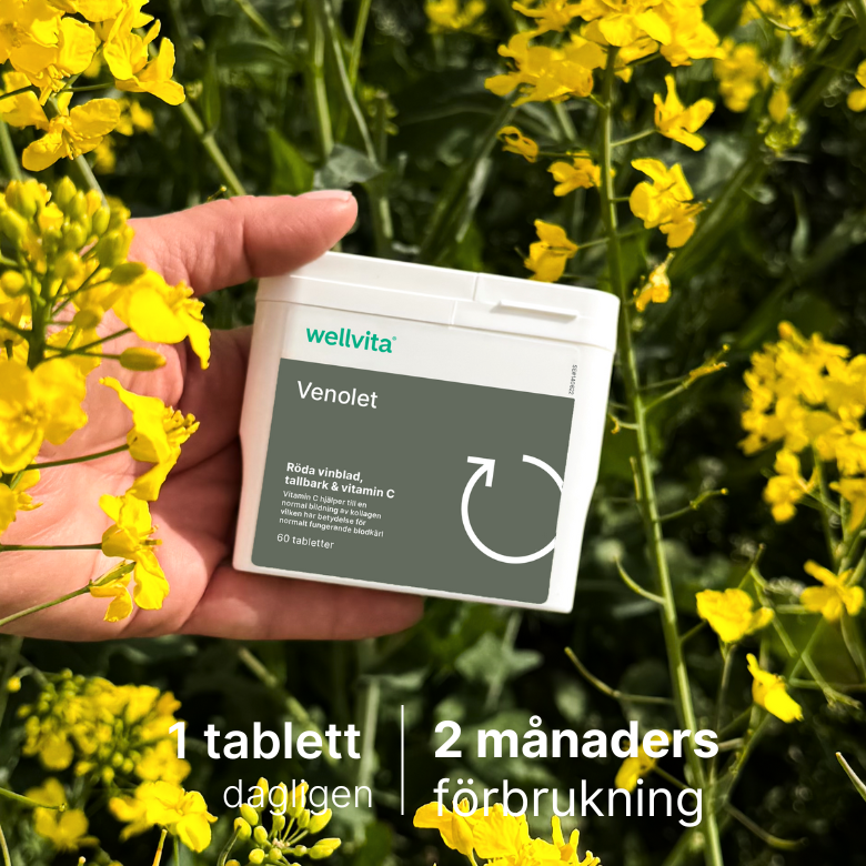 Venolet kosttillskott med rödvinsblad, druvkärnor, tallbark och vitamin C, 60 tabletter för blodcirkulation och hudförbättring.