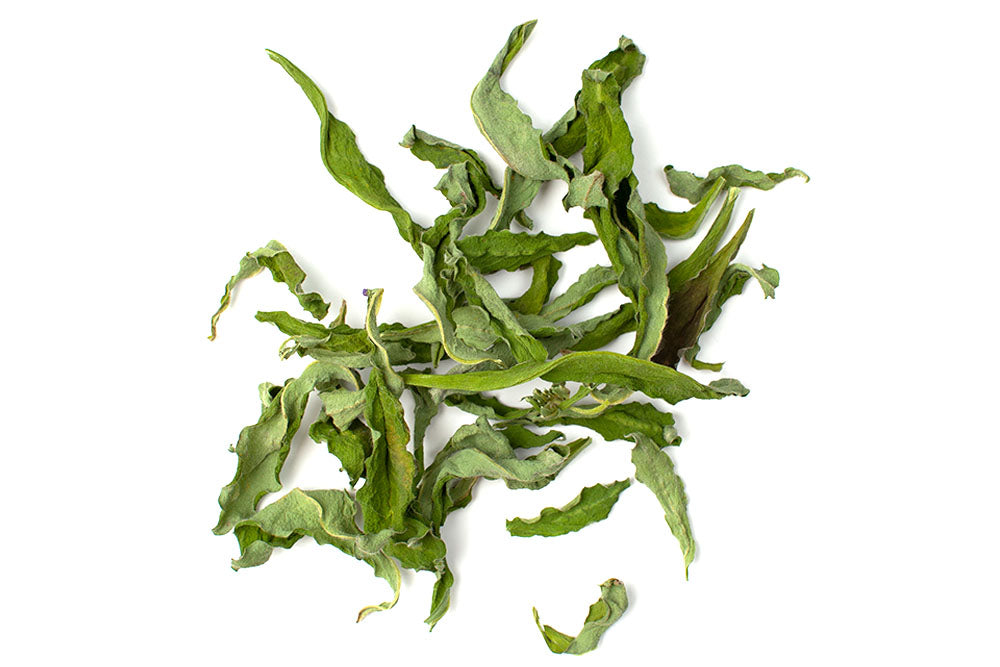Salvia