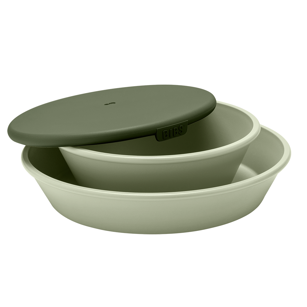 Dinner Plate Set - Sage