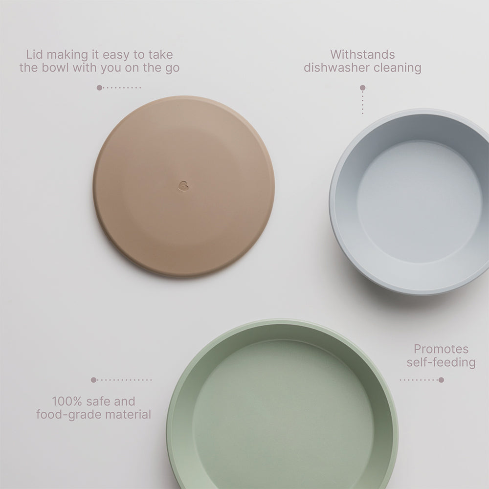 Dinner Plate Set - Sage