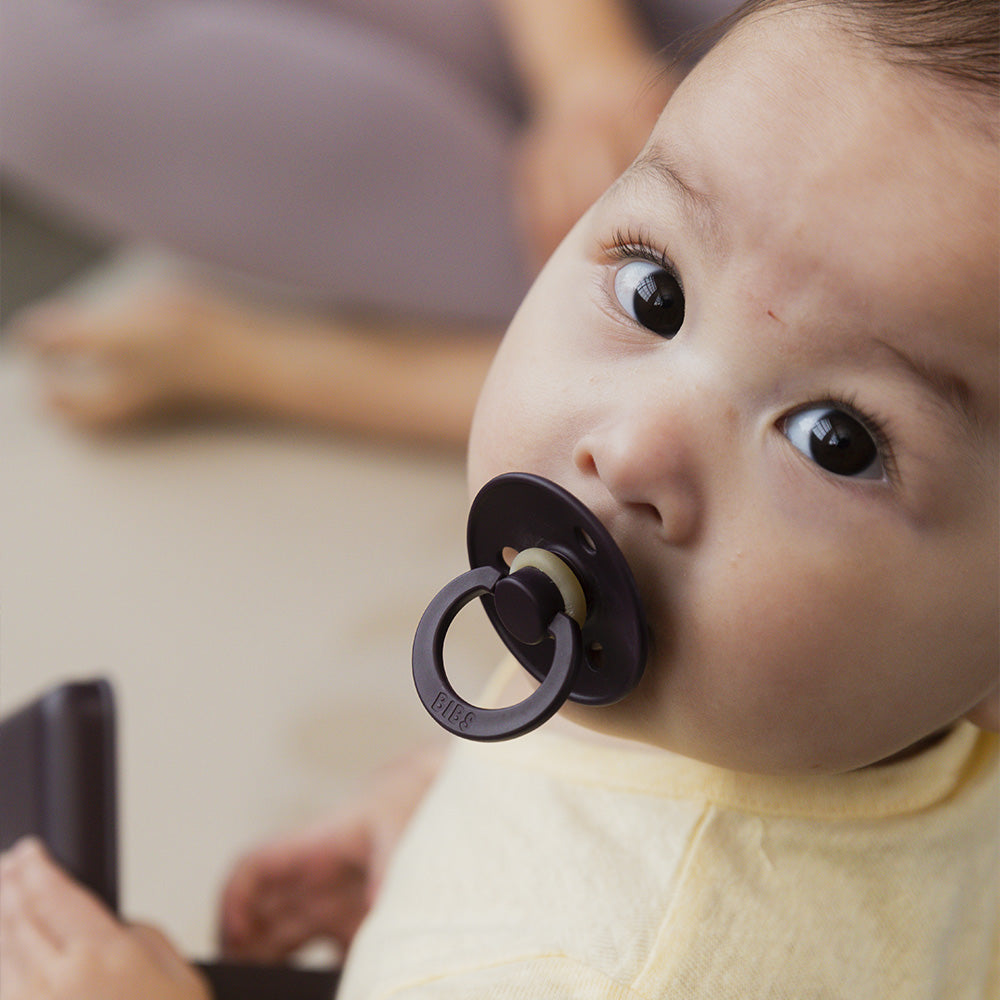 Colour Pacifier - Plum